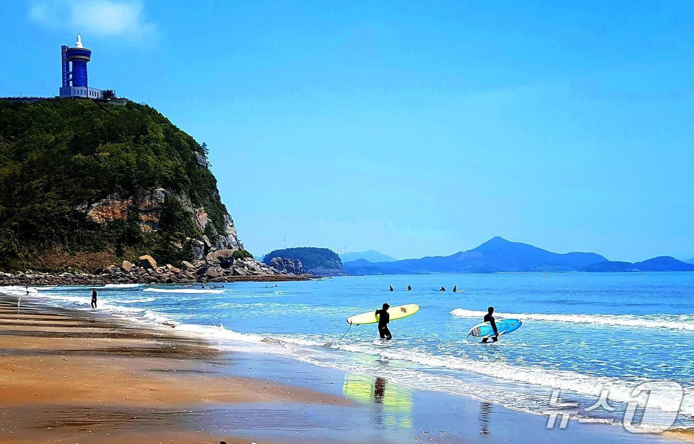 고흥군 해변의 서핑 모습.(전남도 제공. 재판매 및 DB금지) 2025.5.15/뉴스1