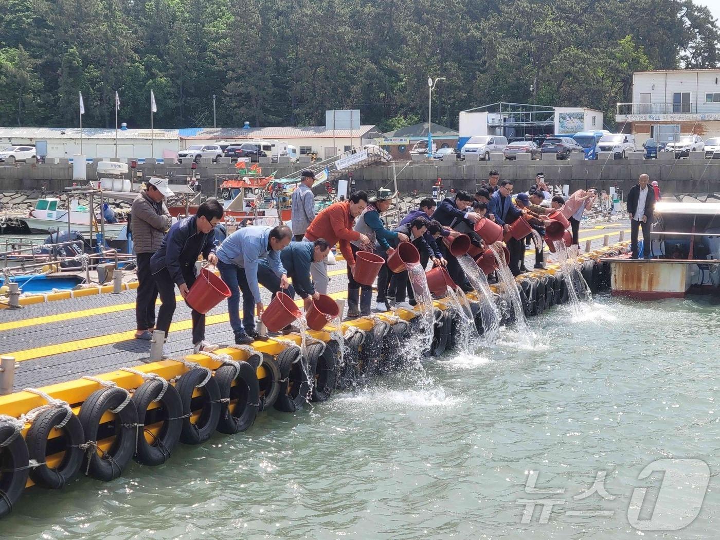 본문 이미지 - 무안 홀통항 대하 종자 방류 &#40;무안군 제공. 재판매 및 DB금지&#41; /뉴스1 