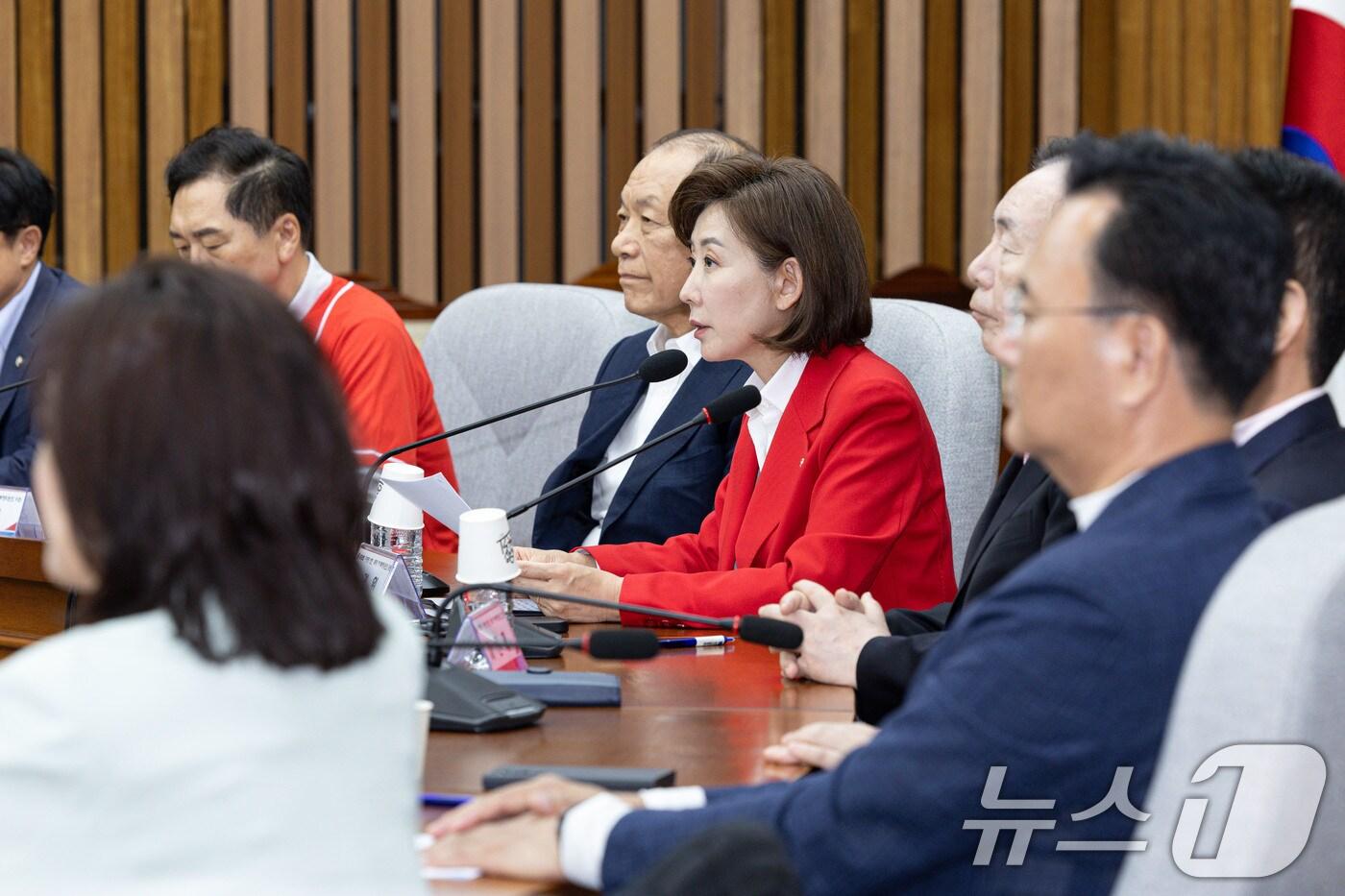 나경원 국민의힘 이재명 방탄 독재 저지 투쟁위원회 위원장이 15일 오후 서울 여의도 국회에서 열린 국민의힘 이재명 방탄 독재 저지 투쟁위원회 회의에서 발언을 하고 있다. 2025.5.15/뉴스1 ⓒ News1 이재명 기자