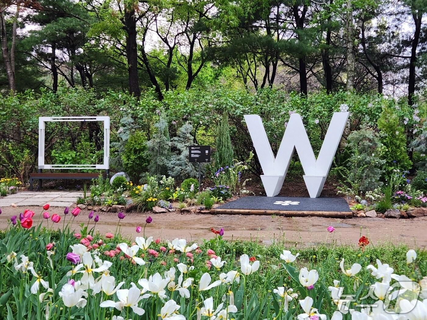 본문 이미지 - 서울숲 윈터숲 모습.(서울시 제공)