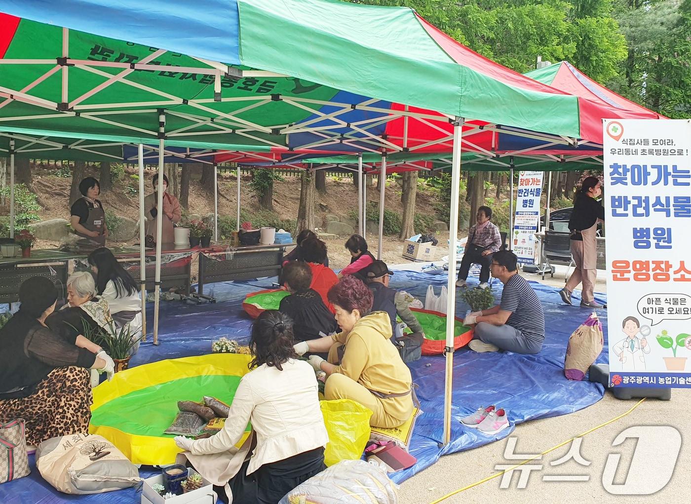 본문 이미지 - 광주시 농업기술센터 '찾아가는 반려식물 병원'.(광주시 제공. 재판매 및 DB 금지) 