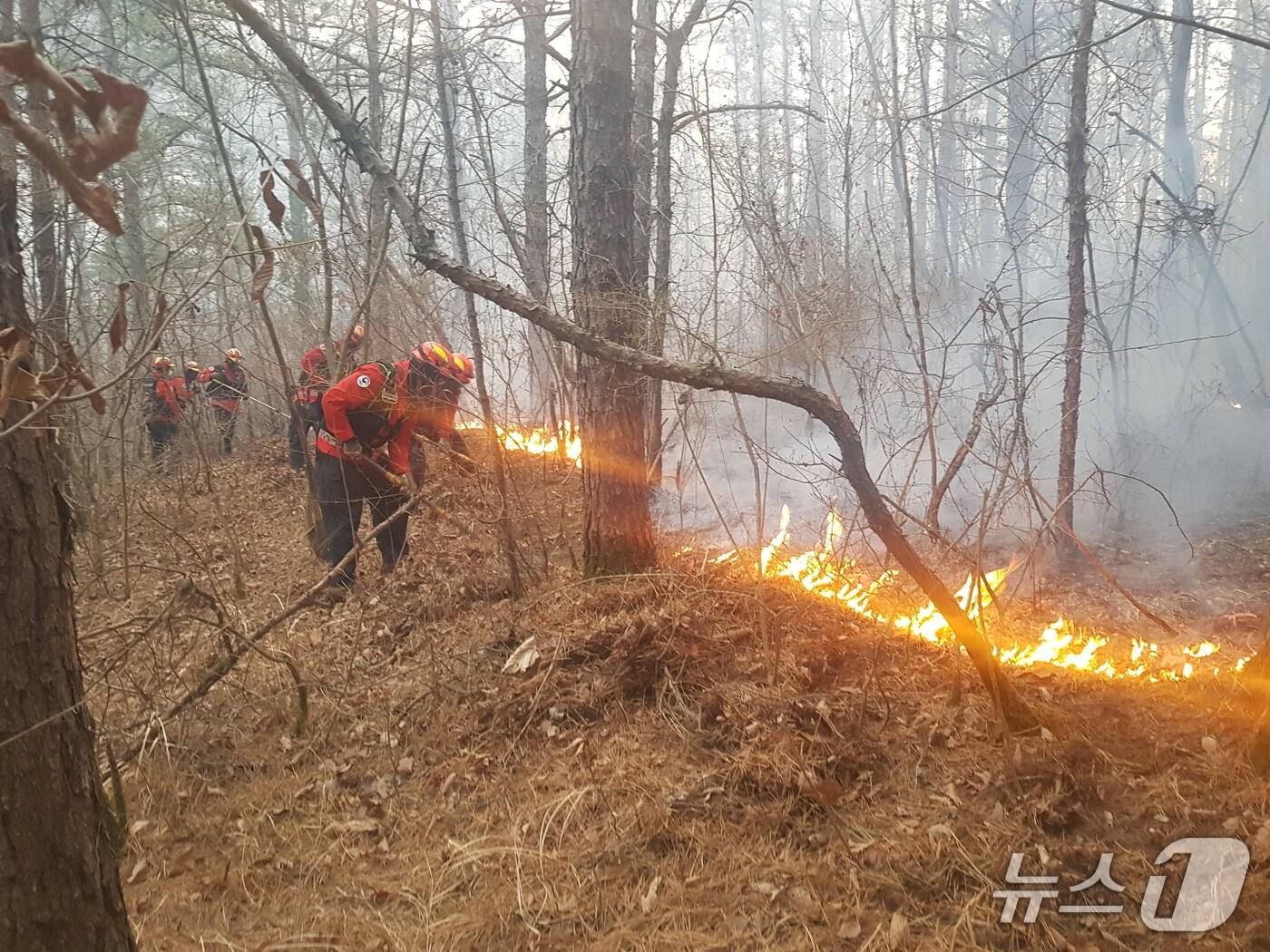 본문 이미지 - 경북 의성 산불진화작업 자료사진 (산림청 제공.재판매 및 DB금지)/뉴스1