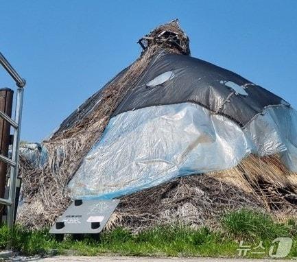 본문 이미지 - 파주시 법원읍 대능리 '신석기 유적지 공원' 내 조성된 움집의 볏짚 지붕이 무너져 내려 흉물스럽게 방치되어 있다. (파주시민네트워크 제공, 재판매 및 DB금지)