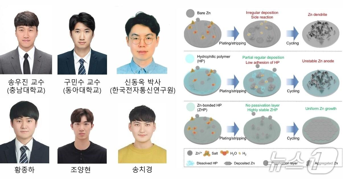 본문 이미지 - 공동 연구팀 및 연구성과 (충남대 제공.재판매 및 DB금지)/뉴스1