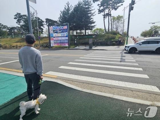 본문 이미지 - 지난 4월 18일 오후 문암생태공원으로 산책을 나온 시민이 횡단보도를 건너기 위해 대기하고 있다.2025.4.18/뉴스1 이재규 기자