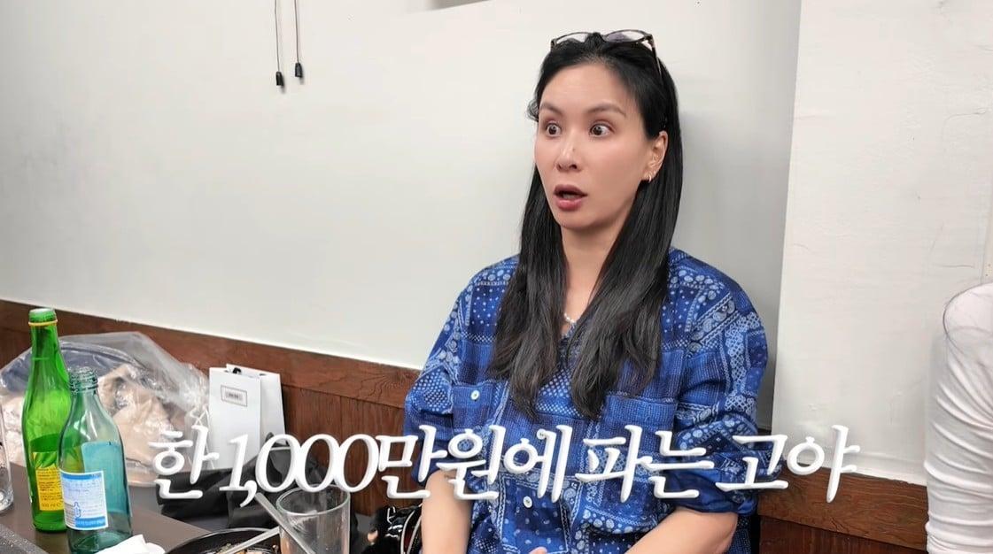 본문 이미지 - (유튜브 '바로 그 고소영')