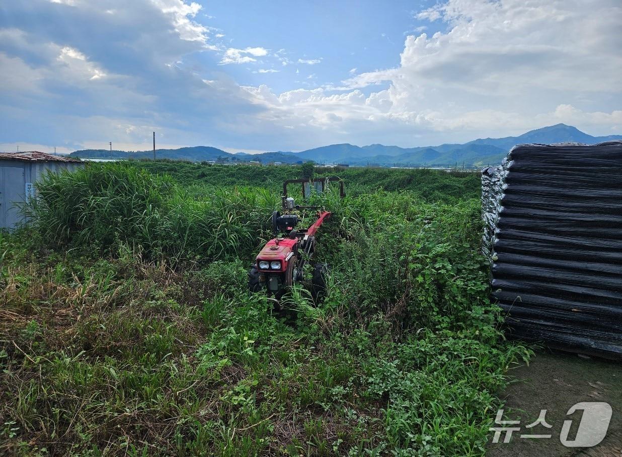 본문 이미지 - 방치 농기계 모습.(전남도 제공. 재판매 및 DB금지) 2025.5.17/뉴스1
