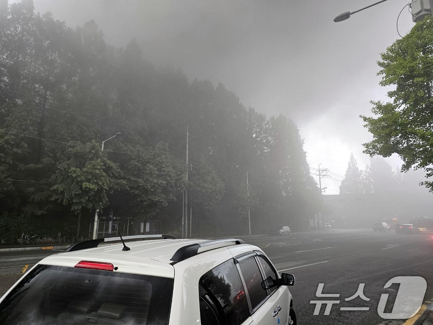 본문 이미지 - 17일 오전 7시 11분쯤 광주 광산구 소촌동 금호타이어 광장공장에서 불이 나일대에 검은 연기가 뒤덮인 모습. ⓒ News1 최성국 기자