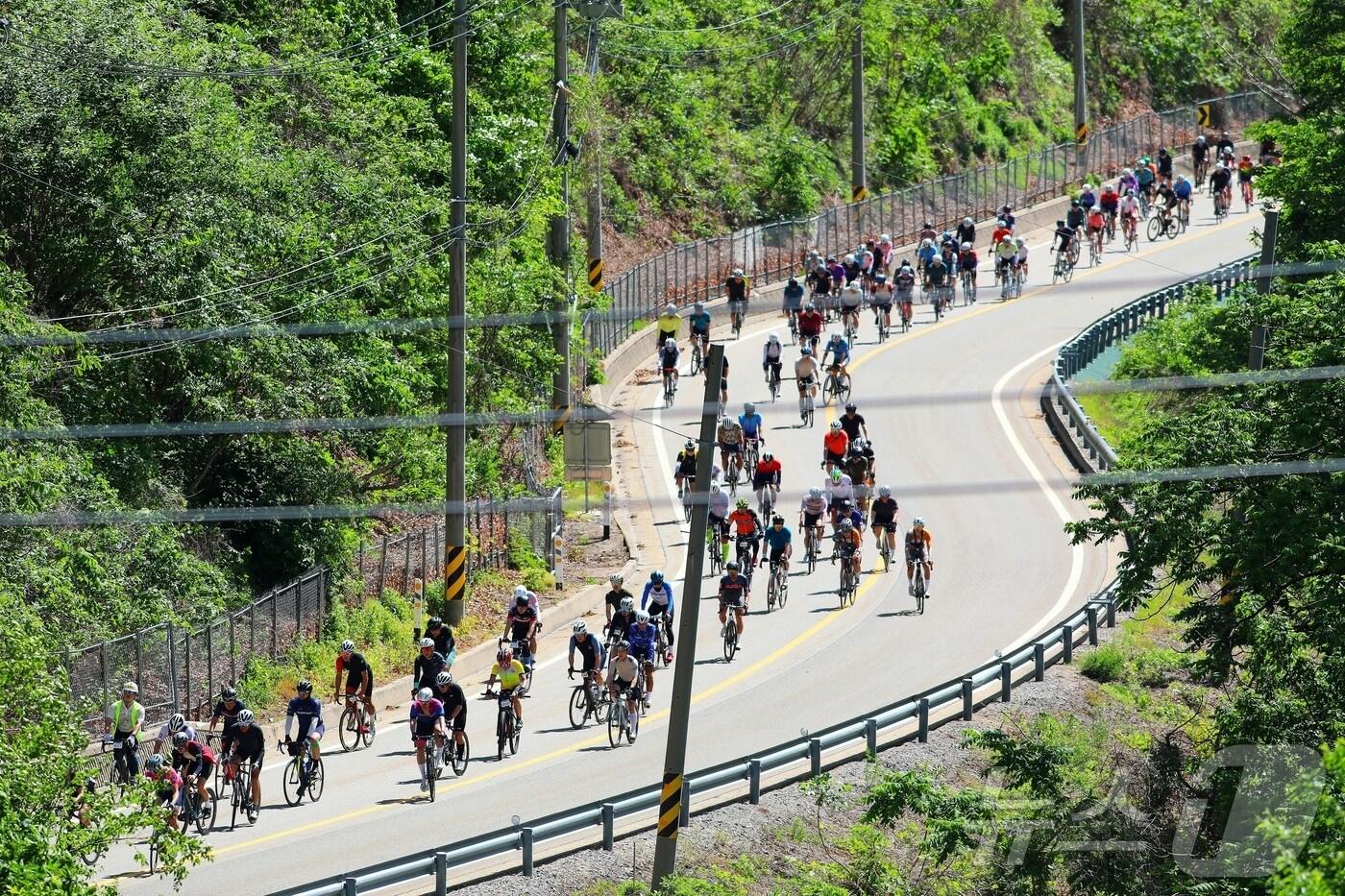 경북도가 백두대간권의 김천시, 영주시, 상주시, 문경시, 예천군, 봉화군과 함께 산림관광 공동마케팅 사업을 본격 추진한다.(인제군 제공. 재판매 및 DB금지)2025.5.17/뉴스1 ⓒ News1 신관호 기자