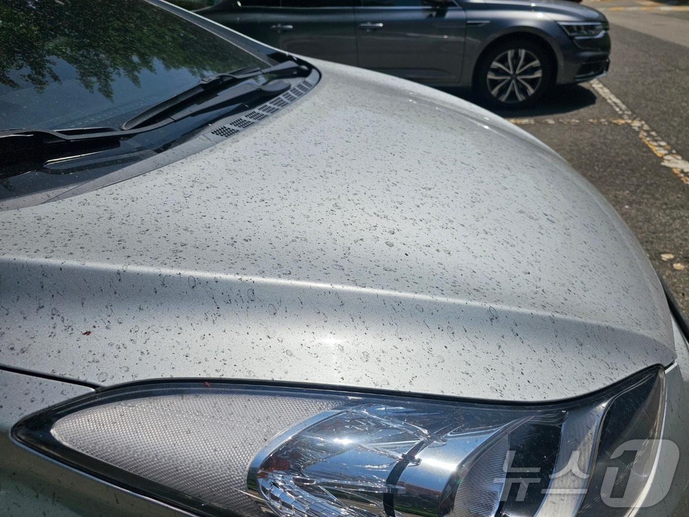 본문 이미지 - 18일 오후 금호타이어 광주공장 인근에 주차된 승용차 본네트가 고무 분진으로 뒤덮혀 있다. 2025.5.18/뉴스1 ⓒ News1 최성국 기자