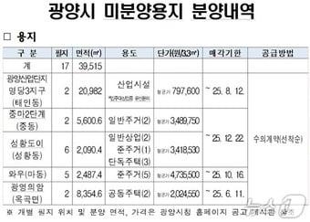 본문 이미지 - 광양시 미분양용지 분양내역 