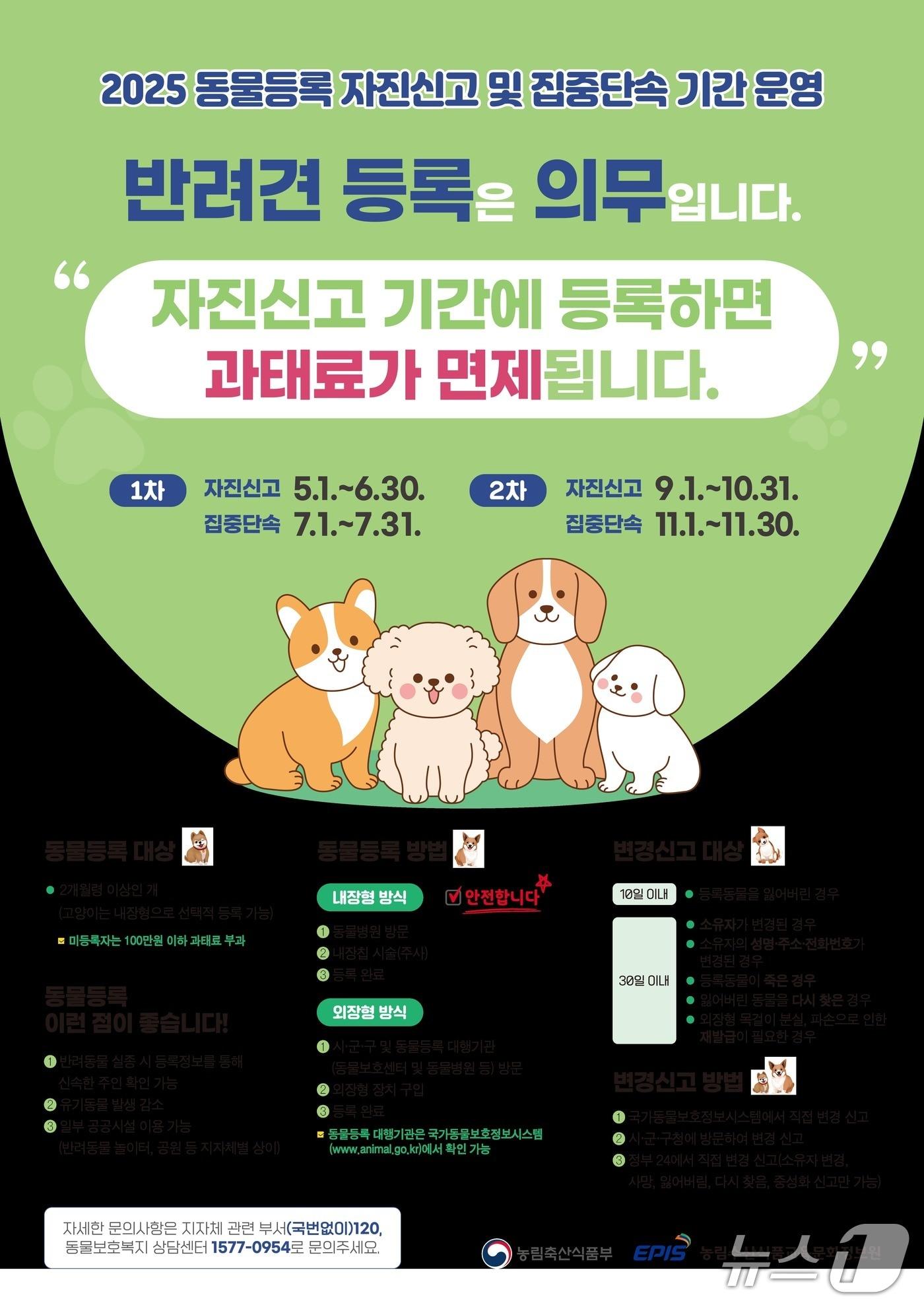 본문 이미지 - 동물등록 자진 신고 홍보 포스터. (양산시 제공. 재판매 및 DB 금지)