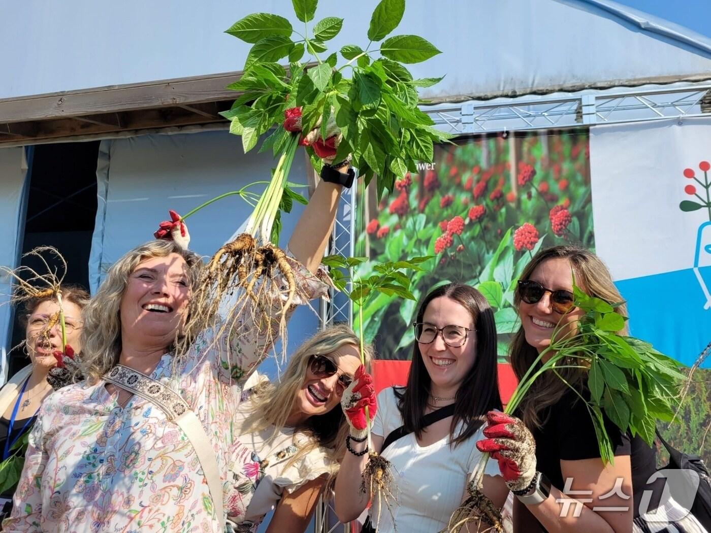 본문 이미지 - 경기관광공사가 지난 9~16일 유럽 등 8개국 19명의 주요 여행 관계자를 대상으로 팸투어를 실시했다. 사진은 참가자들이 &#39;파주 개성인삼캐기 체험&#39;을 하고 있는 모습.&#40;경기관광공사 제공. 재판매 및 DB금지&#41;/뉴스1