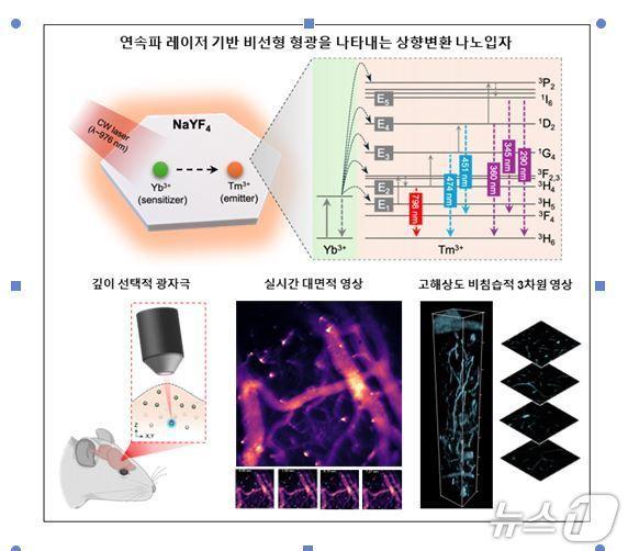 본문 이미지 - 연속파 레이저 기반 상향변환 나노입자를 활용한 비선형 형광 영상 원리와 응용 예시. (UNIST 제공. 재판매 및 DB 금지) /뉴스1