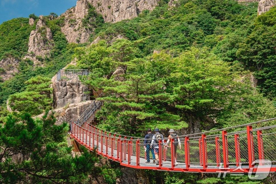 본문 이미지 - 전북 완주군은 대둔산 축제 프로그램 참가자를 모집한다고 19일 밝혔다.(완주군 제공. 재판매 및 DB금지)2025.5.19/뉴스1