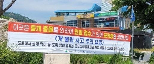 본문 이미지 - 울산 울주군에 게시한 들개 출몰 주의 안내 현수막.(울산울주군제공. 재판매 및 DB 금지)