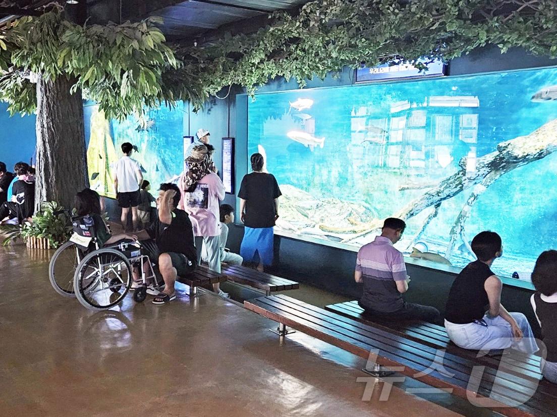 본문 이미지 - 경북민물고기연구센터가 어린이날을 맞아 3~5일 '온 가족이 떠나는 생태체험여행'을 주제로 이색 동물 체험 특별 전시를 진행한다. ⓒ News1 김대벽기자