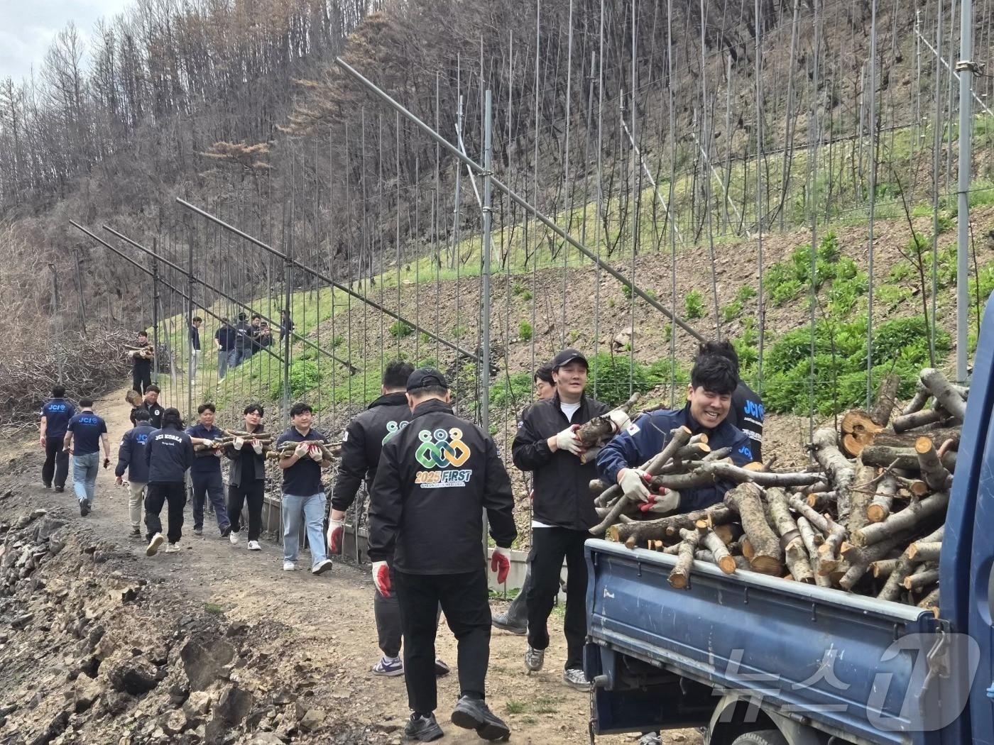 본문 이미지 - 경북지구청년회의소(JC) 회원 50명이 최근 산불 피해를 입은 영덕군 지품면 과수농가를 찾아 봉사활동을 펼쳤다. ⓒ News1 김대벽기자