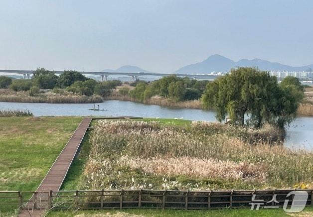 본문 이미지 - 낙동강하구에코센터 물새 낙원 전경(낙동강하구에코센터 제공. 재판매 및 DB 금지)