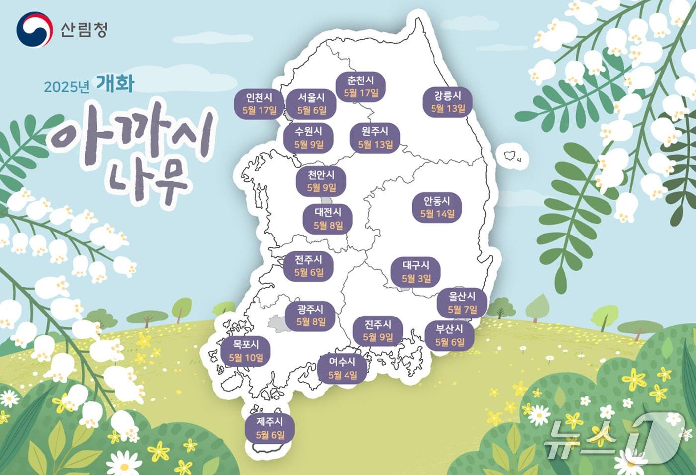 본문 이미지 - 아까시나무 개화시기 예측 지도