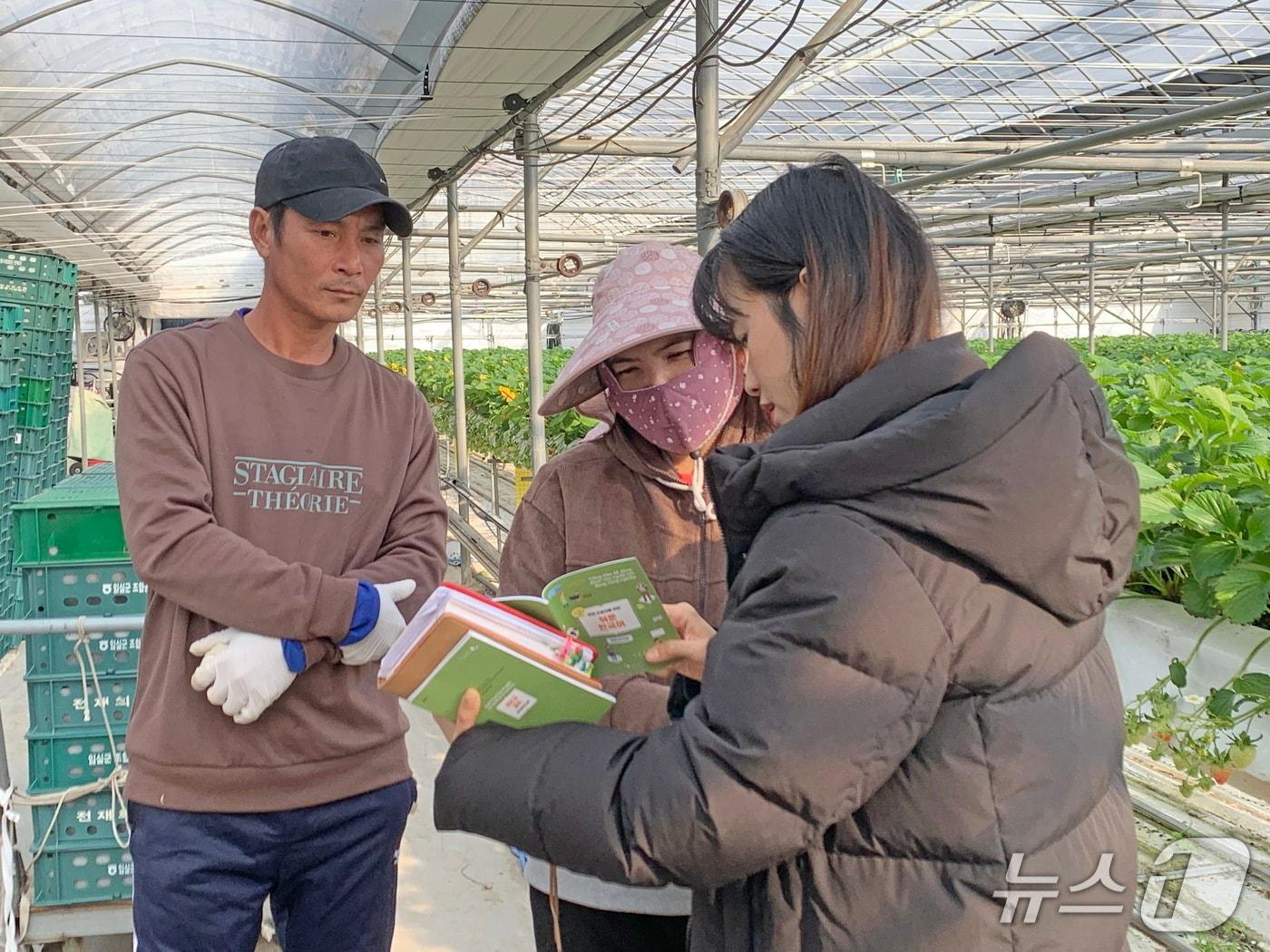 본문 이미지 - 전북자치도 임실군의 계절근로자 운영 점검을 시니어클럽이 맡게 됐다.(임실군제공. 재판매 및 DB금지)2025.5.2/뉴스1