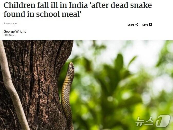 본문 이미지 - 해당 기사 - BBC 갈무리