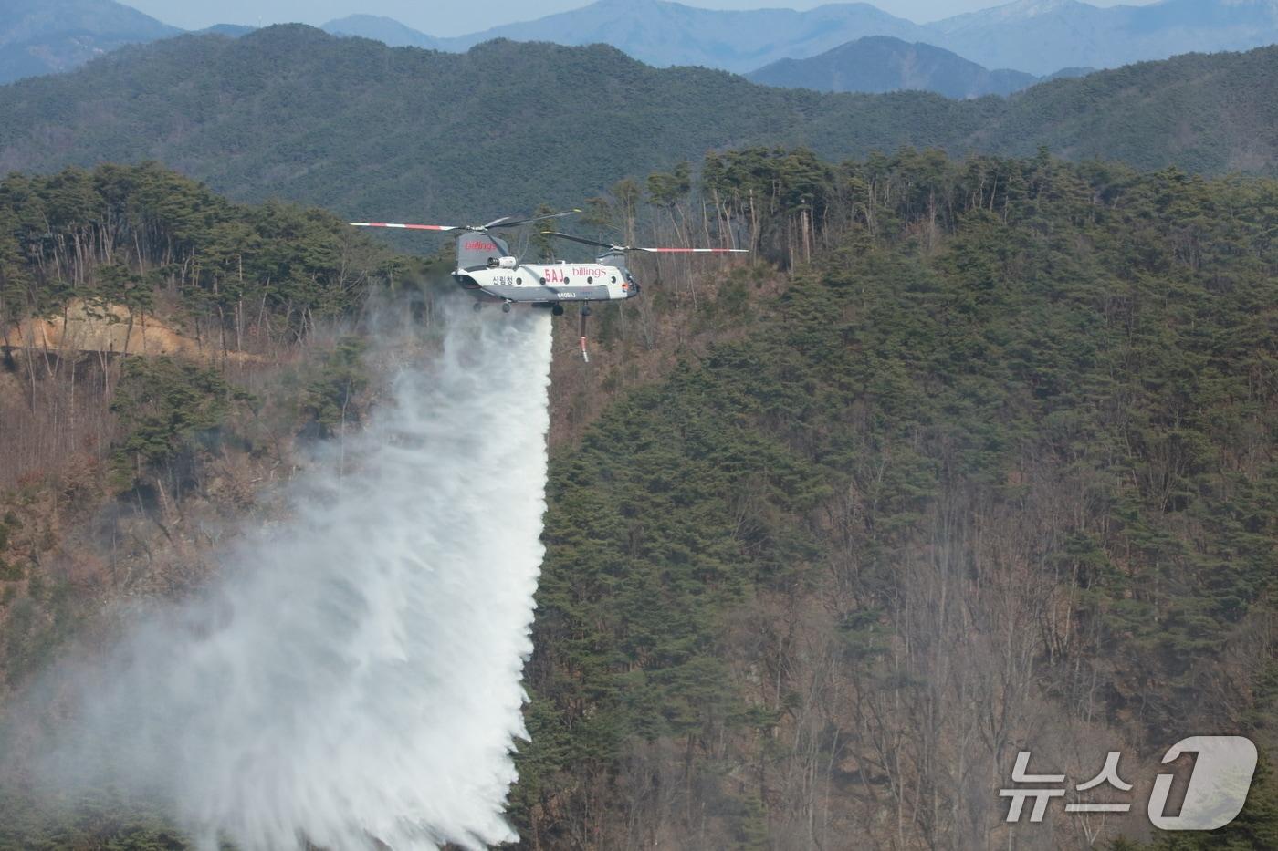 본문 이미지 - 2024년 해외에서 임차한 대형헬기 (산림청 제공.재판매 및 DB금지)/뉴스1