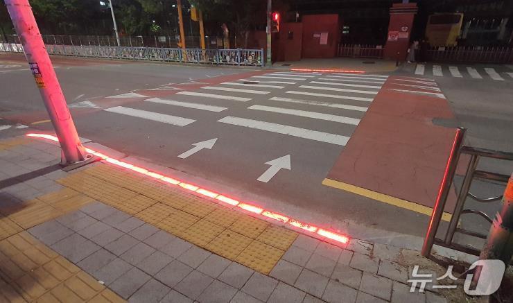 본문 이미지 - 바닥신호등이 설치된 산성초 앞 횡단보도(청주시 제공. 재판매 및 DB 금지)/뉴스1