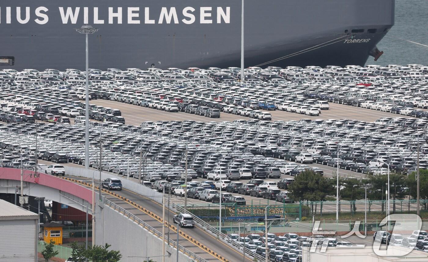 20일 경기 평택시 포승읍 평택항 자동차전용부두에 수출용 차량들이 세워져 있다. 2025.5.20/뉴스1 ⓒ News1 김영운 기자