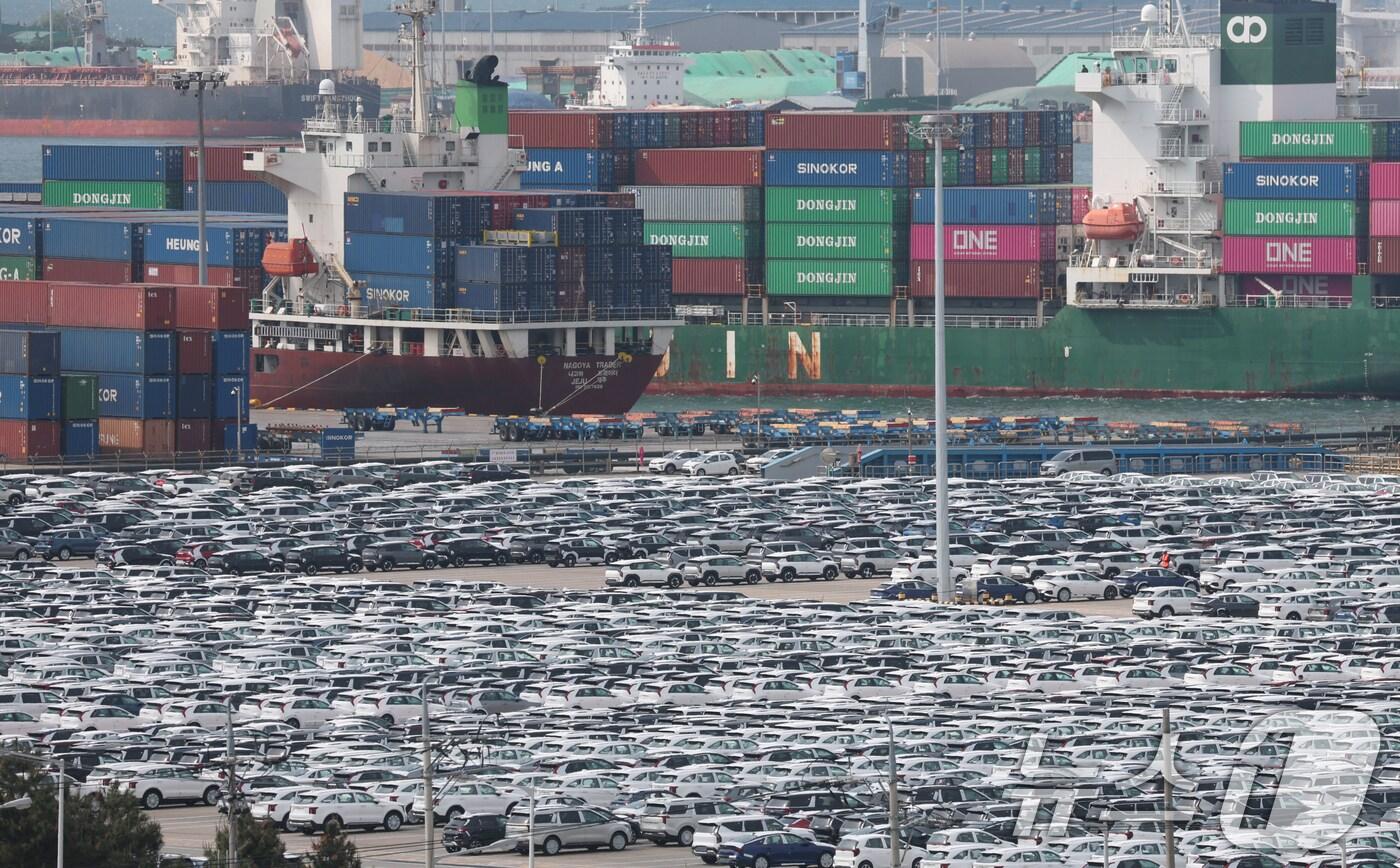 20일 경기 평택시 포승읍 평택항 자동차전용부두에 수출용 차량들이 세워져 있다. 2025.5.20/뉴스1 ⓒ News1 김영운 기자