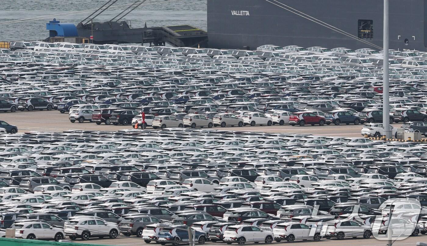 20일 경기 평택시 포승읍 평택항 자동차전용부두에 수출용 차량들이 세워져 있다. 2025.5.20/뉴스1 ⓒ News1 김영운 기자