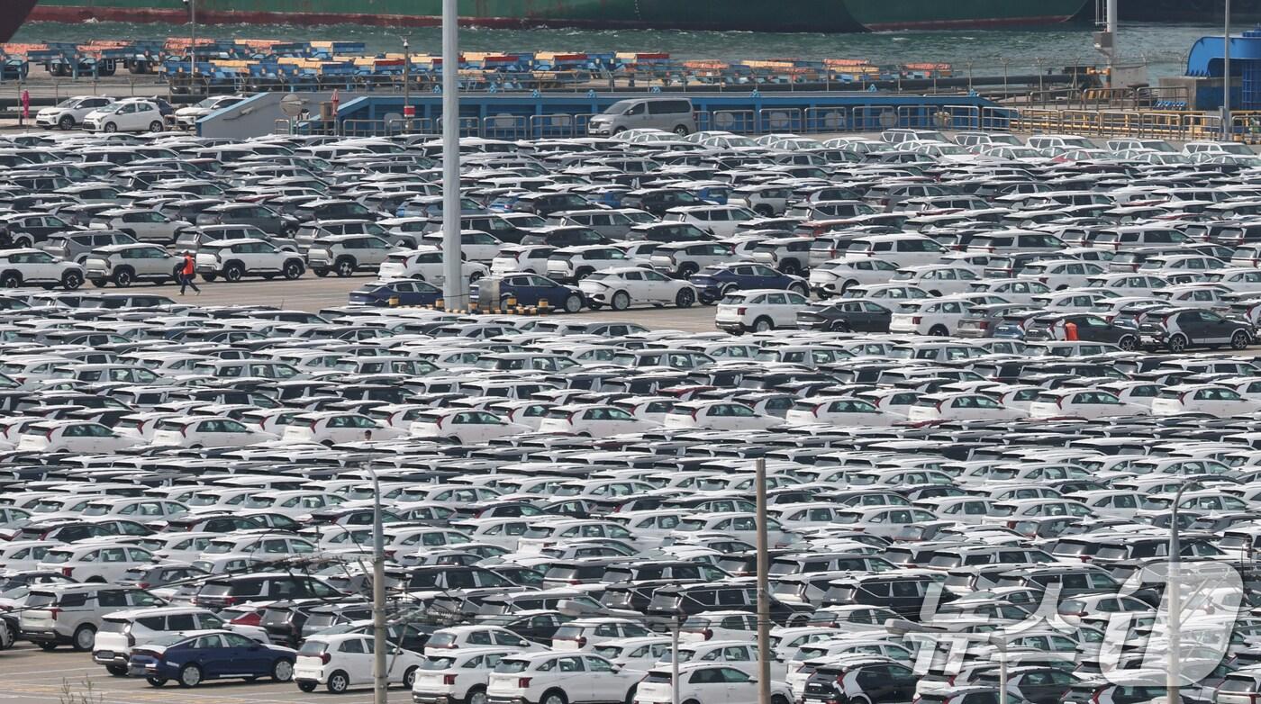 20일 경기 평택시 포승읍 평택항 자동차전용부두에 수출용 차량들이 세워져 있다. 2025.5.20/뉴스1 ⓒ News1 김영운 기자