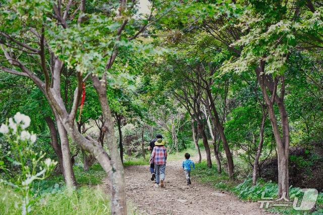 본문 이미지 - 총 길이 860㎞에 달하는 경기도 순환 걷기길인 ‘경기둘레길’의 전 구간 완보자가 1000명을 넘어섰다. 사진은 경기둘레길 안성 코스.&#40;경기관광공사 제공. 재판매 및 DB금지&#41;/뉴스1
