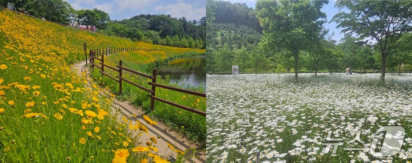 본문 이미지 - 함안군 악양생태공원 전경(함안군 제공. 재판매 및 DB금지).