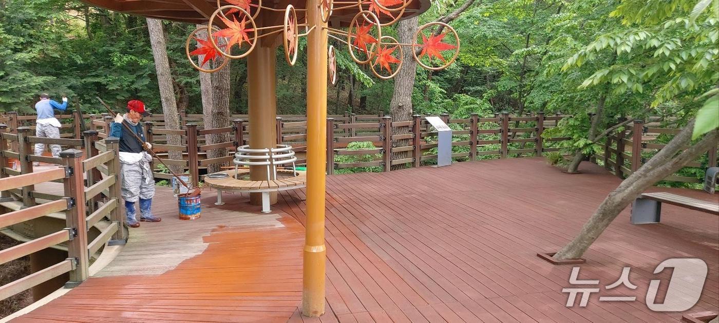  정읍시가 내장산의 대표 생태탐방로인 ‘솔티마루길’의 정비공사를 마치고 시민과 관광객들에게 더욱 안전하고 쾌적한 자연 탐방 환경을 제공한다.(정읍시 제공, 재판매 및 DB금지)