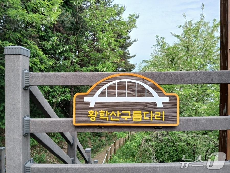 본문 이미지 - 경기 여주시 황학산구름다리(여주시 제공. 재판매 및 DB 금지)/뉴스1 