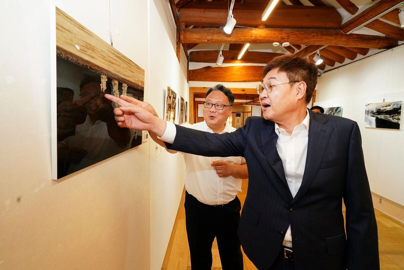 본문 이미지 - 흰개미 피해 사진전(종로구 제공)