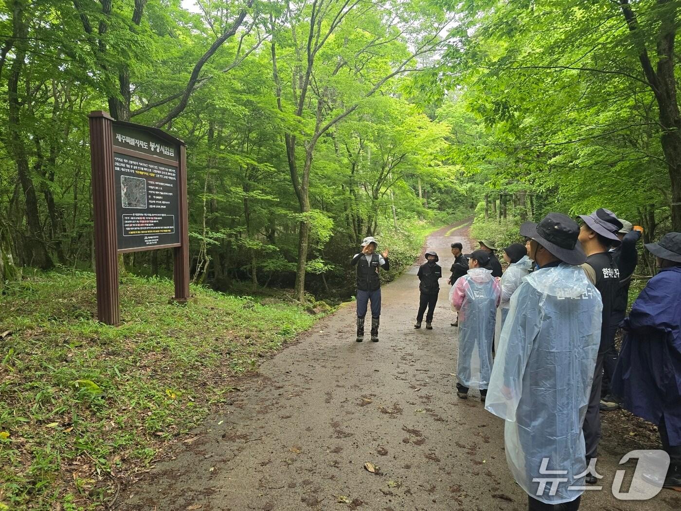 본문 이미지 -  멸종위기 야생식물 복원 현장(제주도 제공. 재판매 및 DB금지)/뉴스1