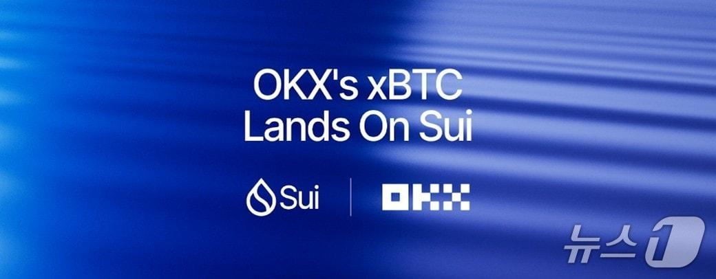 본문 이미지 -  (수이 제공.)