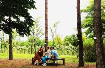 본문 이미지 - 동부공원여가센터 박경자, '어르신들의 즐거움'(서울시 제공)