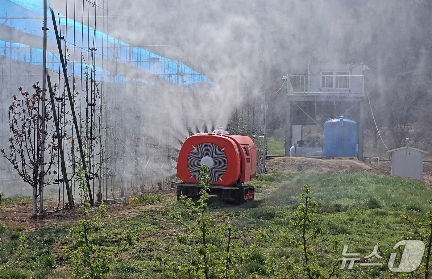 충북 괴산군 농가가 농작물 돌발해충 방제를 하고 있다.(괴산군 제공)/뉴스1