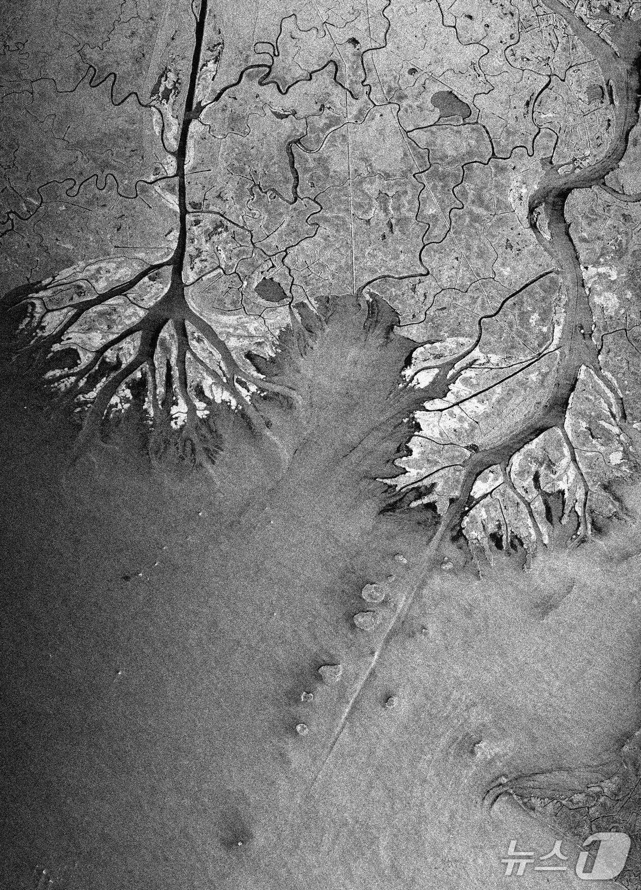 본문 이미지 - 차세대소형위성2호가 촬영한 미국 루이지애나주 아차팔라야강 일대(KAIST 제공) /뉴스1