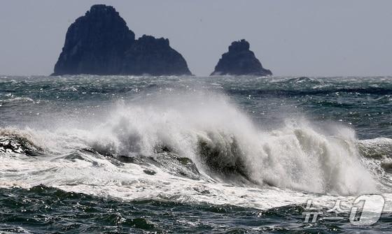 본문 이미지 - 자료 사진. ⓒ News1 윤일지 기자