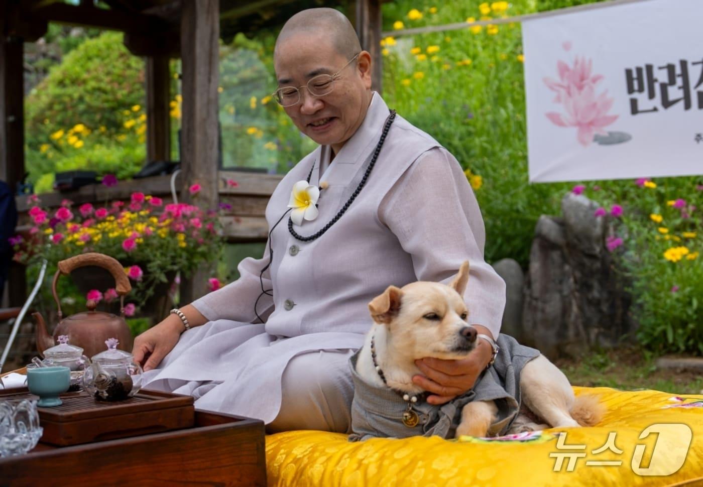 지난 24일 충북 증평 미륵사에서 열린 '댕플스테이'에서 정각 주지가 반려견과 함께 차담을 하고 있다.(증평군 제공, 재판매 및 DB금지)/뉴스1