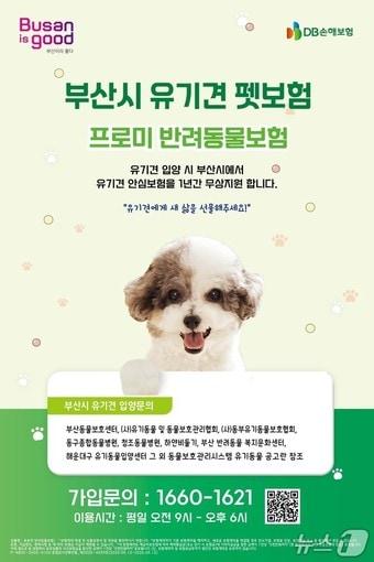 본문 이미지 - 부산시 유기동물 펫보험 지원사업 홍보물.(부산시청 제공. 재판매 및 DB 금지)