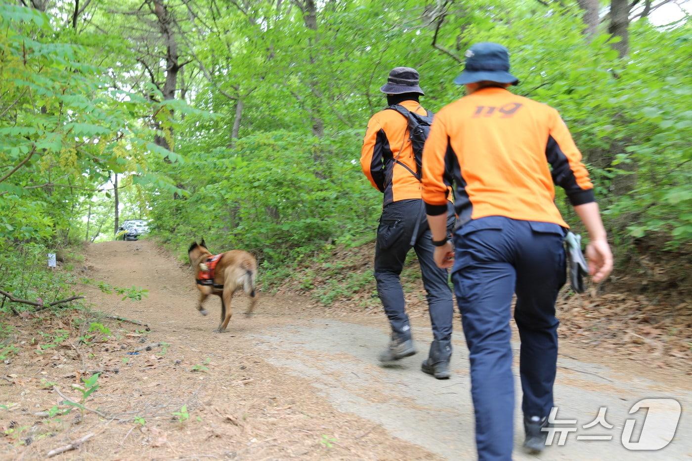 지난 22일 공주 유구읍 문금리 한 야산에서 실종된 70대 파킨슨병 환자 A 씨를 구조하기 위해 공주소방서 관계자들이 수색을 벌이고 있다. (공주소방서 제공, 재판매 및 DB금지) / 뉴스1