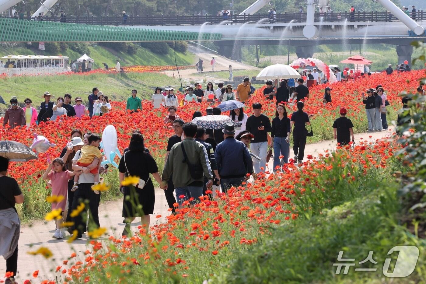 지난 23일부터 25일까지 충북 괴산 동진천변 일원에서 열린 &#39;2025 괴산빨간맛페스티벌&#39;을 찾은 관광객이 북적이고 있다.&#40;괴산군 제공, 재판매 및 DB금지&#41;/뉴스1