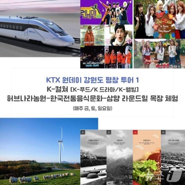 본문 이미지 - 강원 평창군의 &#39;평창 철도관광&#39; 상품 안내 자료. &#40;평창군 제공. 재판매 및 DB금지&#41; 2025.5.26/뉴스1