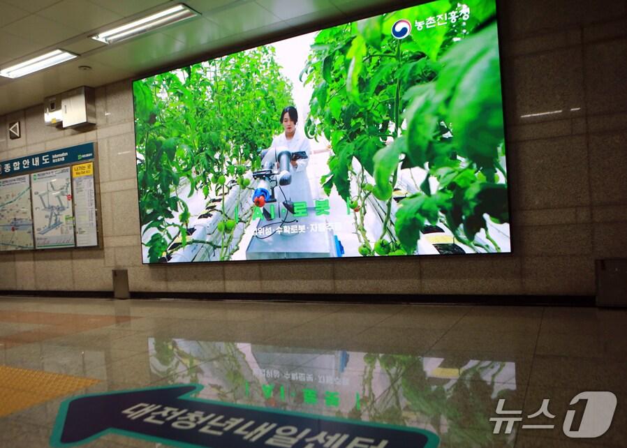 본문 이미지 - 대전도시철도 대전역 KTX 출구(4번)에 설치한 미디어월 광고 (대전교통공사 제공.재판매 및 DB금지)2025.5.26/뉴스1