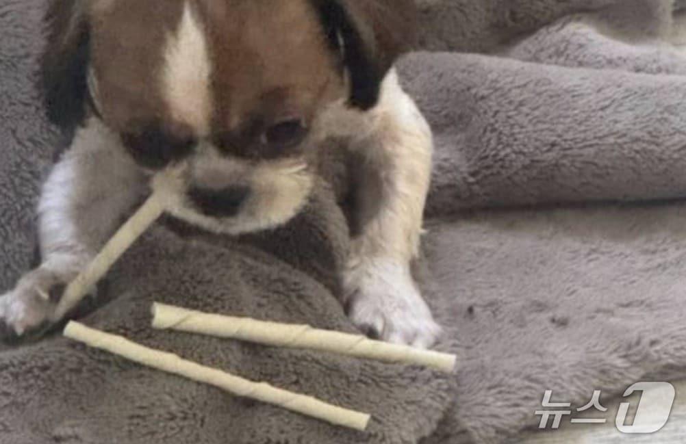 본문 이미지 - (온라인 커뮤니티 갈무리) /뉴스1